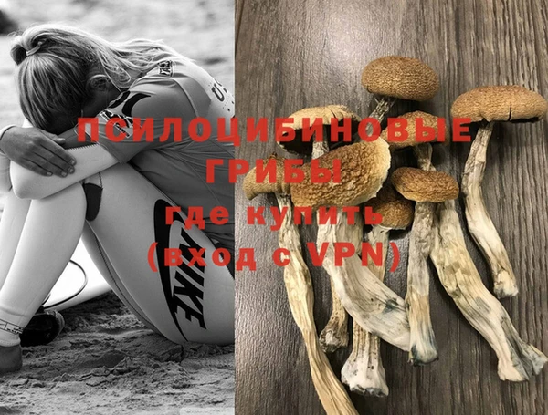 мяу мяу мука Балабаново